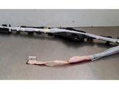 Roof airbag