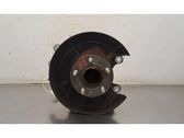 Rear wheel hub spindle/knuckle