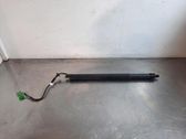Tailgate strut