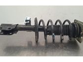 Front shock absorber/damper
