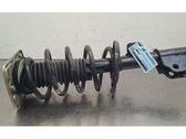 Front shock absorber/damper