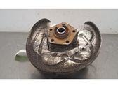 Rear wheel hub spindle/knuckle