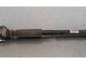 Rear shock absorber/damper