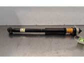 Stoßdämpfer hinten