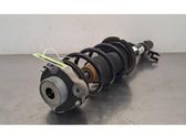 Front shock absorber/damper
