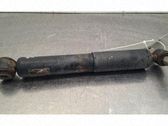 Rear shock absorber/damper