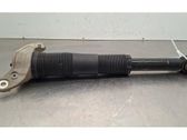 Rear shock absorber/damper