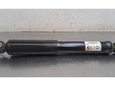 Rear shock absorber/damper