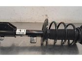 Front shock absorber/damper