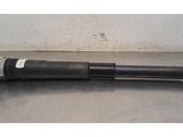 Rear shock absorber/damper