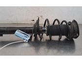 Front shock absorber/damper