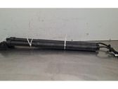 Tailgate/trunk strut/damper