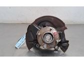 Front wheel hub spindle knuckle