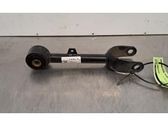 Querlenker hinten