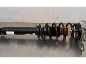 Stoßdämpfer hinten