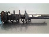 Front shock absorber/damper