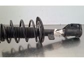 Front shock absorber/damper