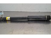 Rear shock absorber/damper