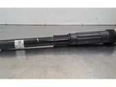 Stoßdämpfer hinten