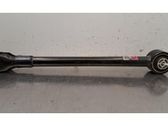 Querlenker hinten