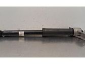 Rear shock absorber/damper