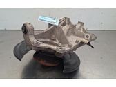Rear wheel hub spindle/knuckle