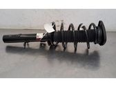 Front shock absorber/damper