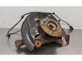 Front wheel hub spindle knuckle
