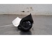Signal sonore