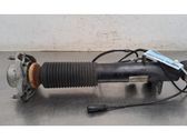 Rear shock absorber/damper