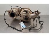 Catalyst/FAP/DPF particulate filter