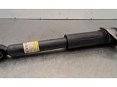 Rear shock absorber/damper