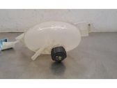 Coolant expansion tank/reservoir