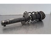 Front shock absorber/damper