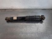 Rear shock absorber/damper