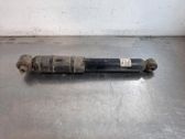 Rear shock absorber/damper
