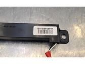 Antenne des Keyless-Systems