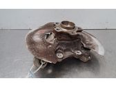 Rear wheel hub spindle/knuckle