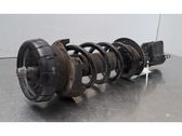 Front shock absorber/damper