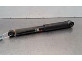 Rear shock absorber/damper