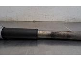 Stoßdämpfer hinten