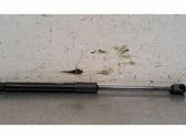 Front bonnet/hood damper/strut
