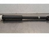 Stoßdämpfer hinten