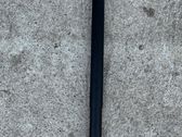 Tailgate/trunk strut/damper