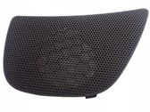 Cache enceinte centrale