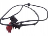 Wires (generator/alternator)