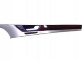 Front door trim (molding)