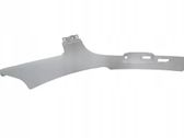 (B) Pillar trim (exterior)