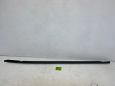 Verkleidung Türfenster Türscheibe