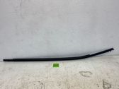 Front door glass trim molding